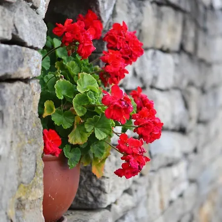 комплекс куклите * Tsareva Livada