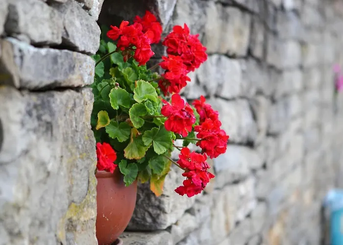 комплекс куклите * Tsareva Livada